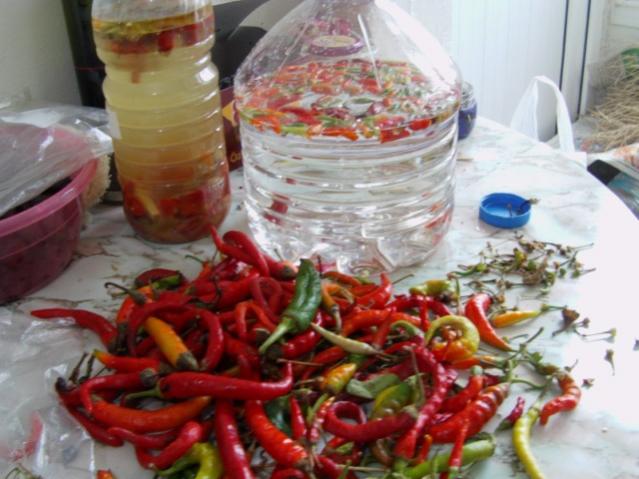 Name:  IMAG0002 [640x480] (2).jpg
Views: 984
Size:  48.0 KB