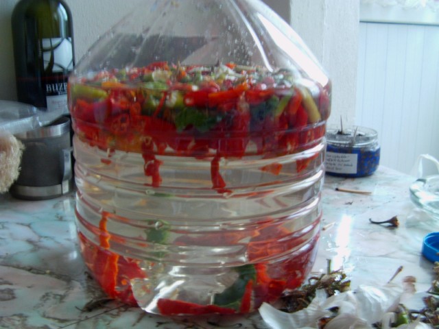 Name:  IMAG0006 [640x480].JPG
Views: 908
Size:  69.2 KB
