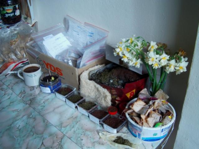 Name:  IMAG0009 [640x480].jpg
Views: 1505
Size:  43.8 KB