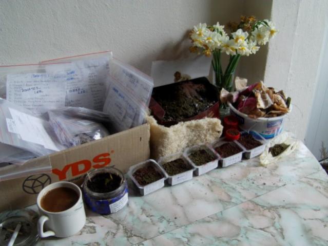 Name:  IMAG0006 [640x480].jpg
Views: 1665
Size:  39.7 KB