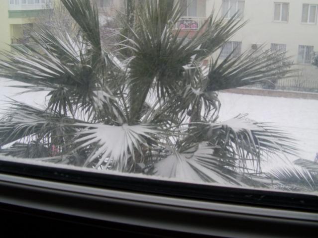Name:  IMAG0006 [640x480] (2).jpg
Views: 1226
Size:  43.9 KB