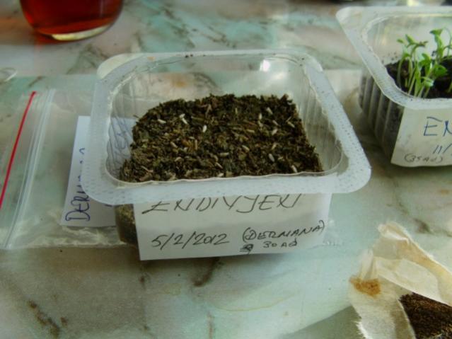Name:  aypos (15).jpg
Views: 1515
Size:  37.0 KB