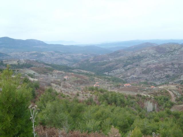 Name:  SL734764.jpg
Views: 2203
Size:  34.4 KB