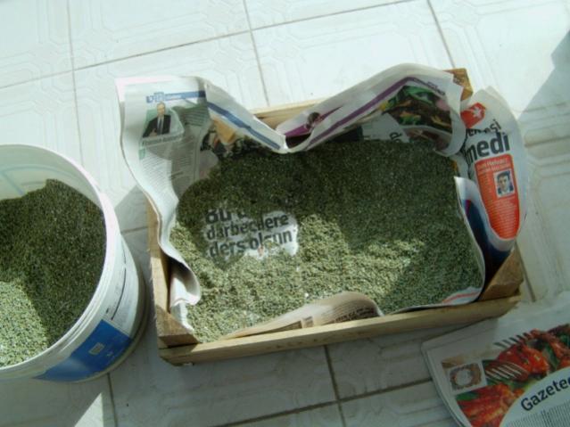 Name:  IMAG0001 [640x480].jpg
Views: 1410
Size:  43.0 KB