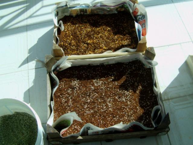 Name:  IMAG0002 [640x480].jpg
Views: 1309
Size:  48.8 KB