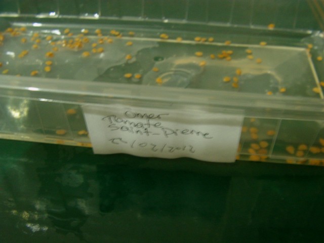 Name:  mer.JPG
Views: 1071
Size:  45.2 KB