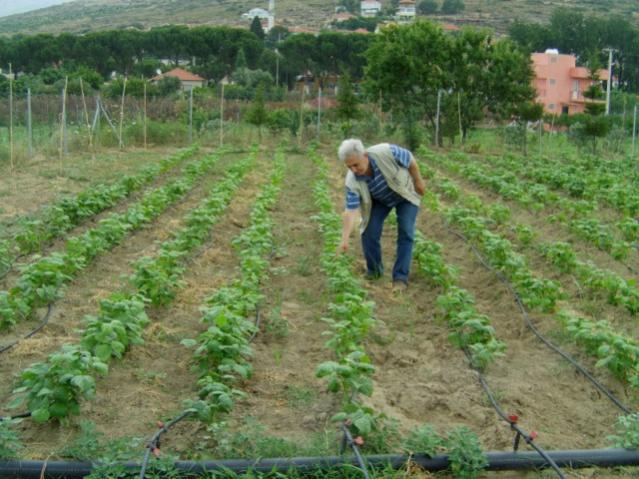 Name:  ubyi ziyaretleri (11).jpg
Views: 1063
Size:  60.2 KB
