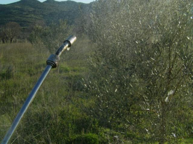 Name:  IMAG0041 [640x480].jpg
Views: 3054
Size:  52.5 KB