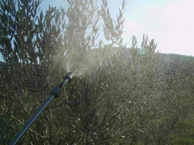 Name:  IMAG0038 [640x480].jpg
Views: 3351
Size:  52.6 KB