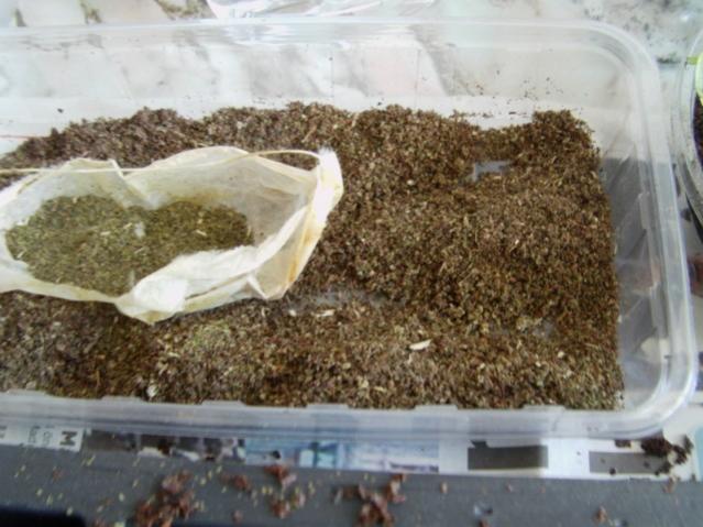 Name:  artma (5).jpg
Views: 1403
Size:  48.3 KB