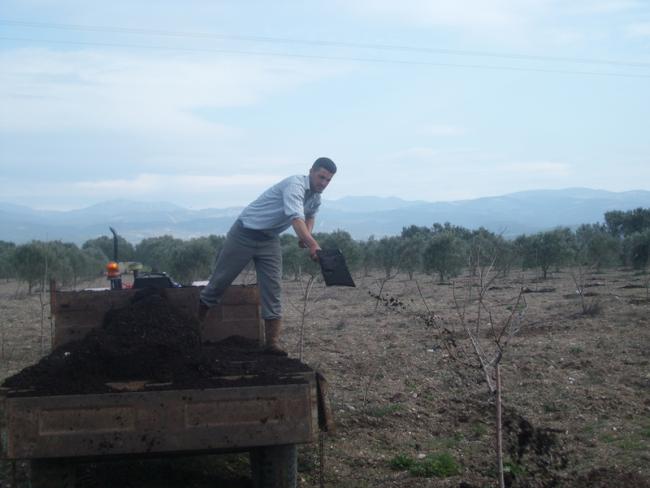 Name:  SL735053.jpg
Views: 1325
Size:  33.1 KB