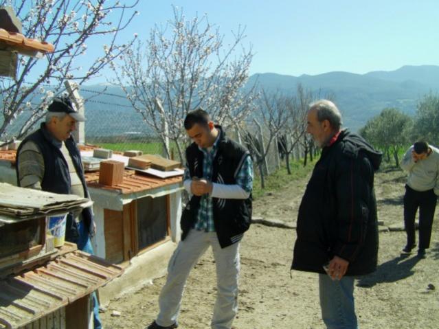 Name:  mdrn bahesi (4).jpg
Views: 1958
Size:  53.5 KB