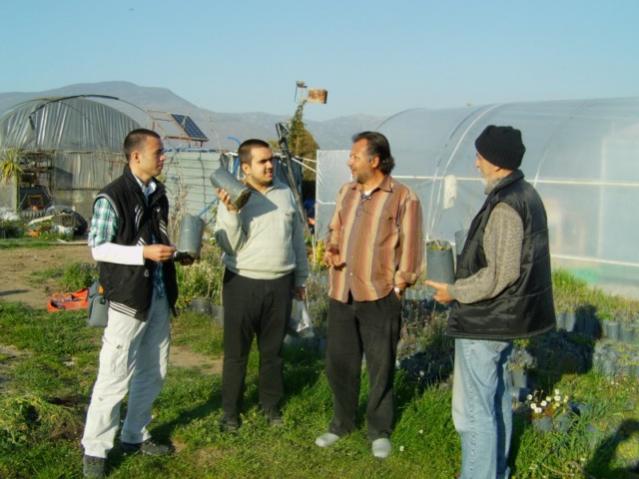 Name:  egetropikal (24).jpg
Views: 1401
Size:  45.5 KB