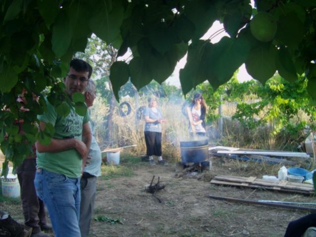 Name:  gllecibulamac (5).jpg
Views: 2636
Size:  46.9 KB