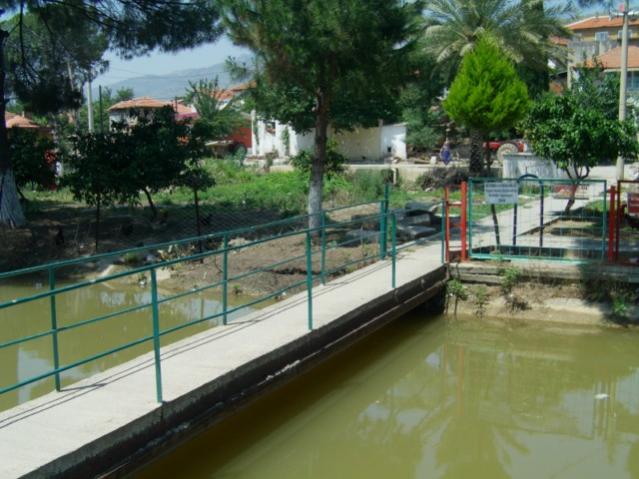 Name:  belen ky kahvesi.jpg
Views: 2733
Size:  51.7 KB