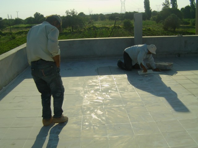 Name:  kyntarmx (10).JPG
Views: 801
Size:  58.6 KB