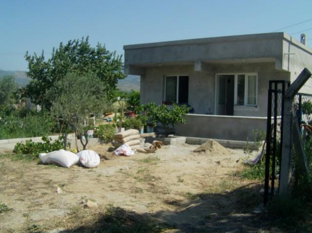 Name:  kyntarmx (27).jpg
Views: 852
Size:  44.4 KB