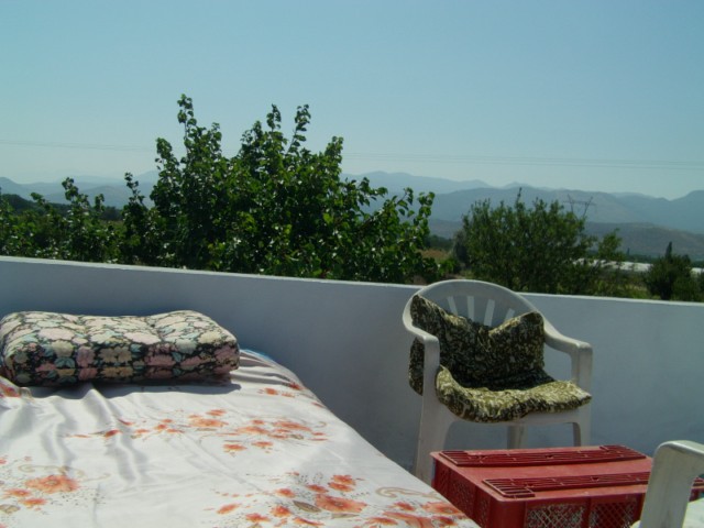 Name:  baevi ve bahce (19).JPG
Views: 760
Size:  65.3 KB