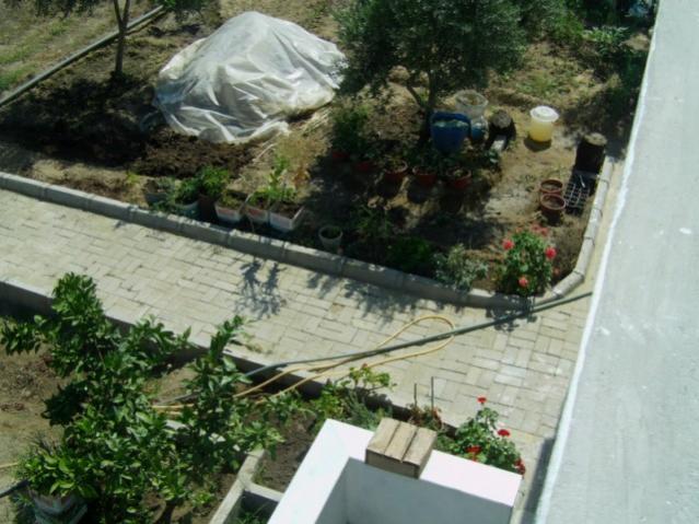 Name:  baevi ve bahce (17).jpg
Views: 750
Size:  54.9 KB