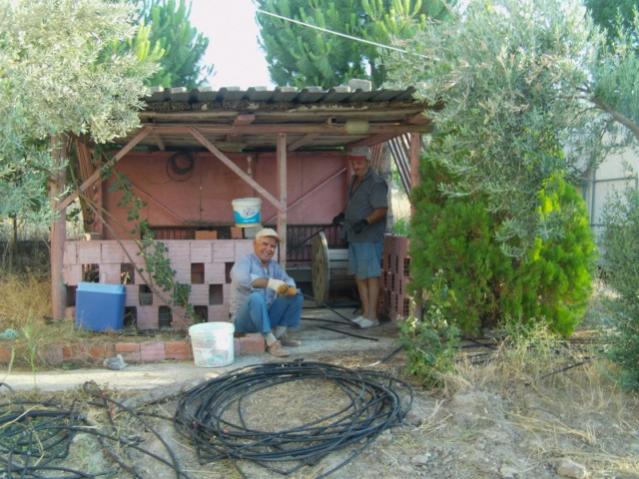 Name:  mdrn bahcesi.jpg
Views: 1377
Size:  59.9 KB