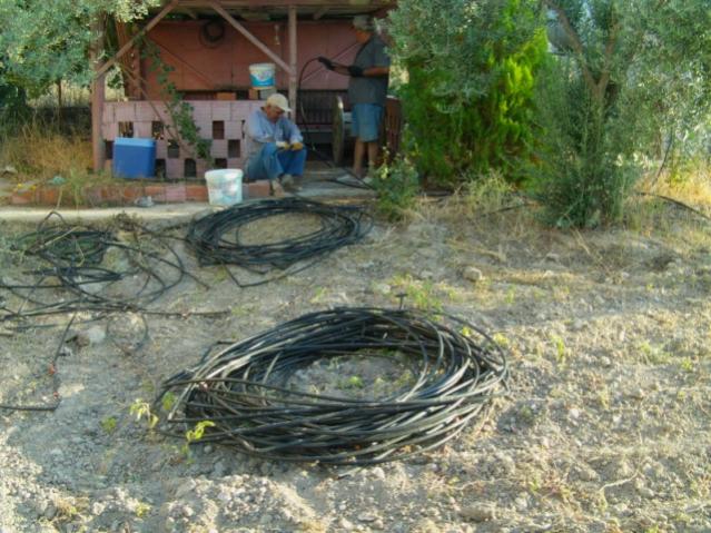 Name:  mdrn bahcesi (3).jpg
Views: 1364
Size:  66.0 KB
