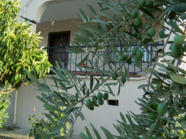 Name:  mdrn bahcesi (8).jpg
Views: 1316
Size:  56.3 KB