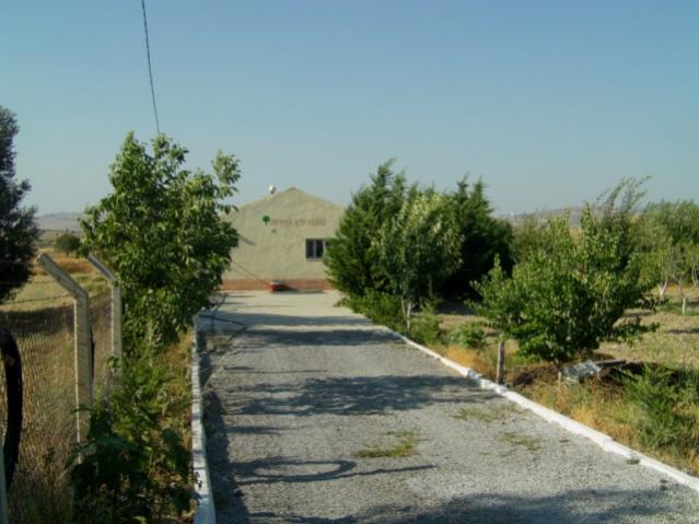Name:  sevgiiftlii (3).jpg
Views: 1130
Size:  45.2 KB