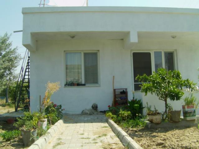 Name:  baevi ve bahe (96).jpg
Views: 1971
Size:  39.3 KB