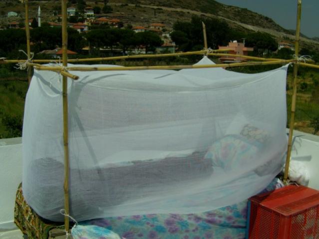 Name:  baevi ve bahe (50).jpg
Views: 3652
Size:  37.0 KB