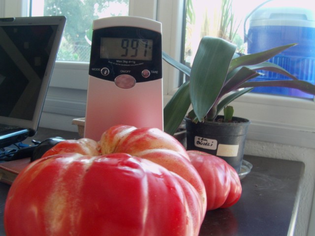 Name:  pembe domates (6).JPG
Views: 1253
Size:  59.7 KB