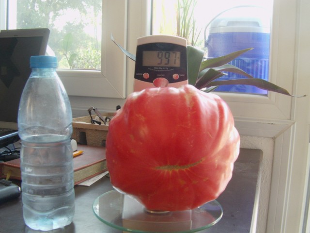 Name:  pembe domates (11).JPG
Views: 1649
Size:  57.7 KB