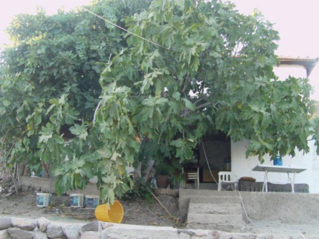Name:  emine'nin ky evi (26).jpg
Views: 934
Size:  52.1 KB