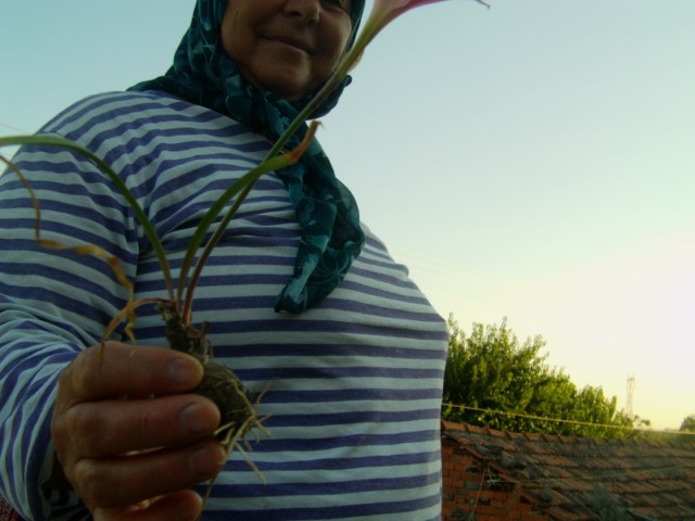 Name:  emine'nin ky evi (28).JPG
Views: 905
Size:  58.9 KB