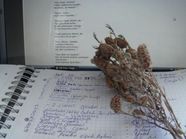 Name:  karaba (2) [640x480].jpg
Views: 1264
Size:  38.9 KB
