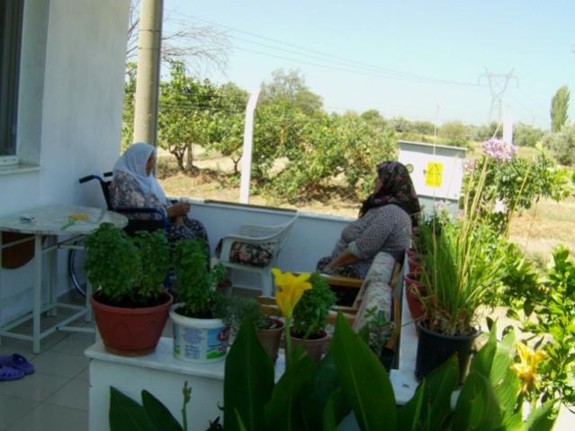 Name:  aile (27).jpg
Views: 1112
Size:  45.7 KB