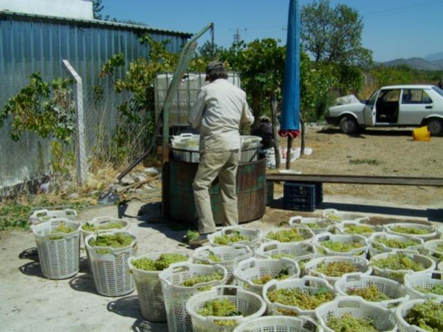 Name:  IMAG0030 [640x480].jpg
Views: 1034
Size:  58.4 KB