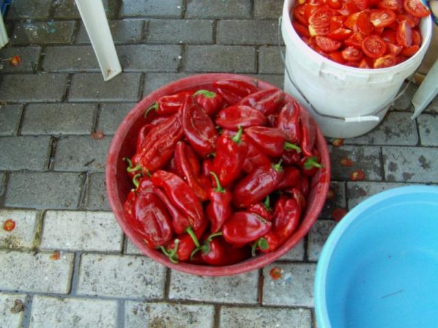 Name:  md. bah (13).jpg
Views: 1100
Size:  51.4 KB