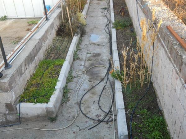 Name:  baheye k yolu ve yeillik tarhlar.jpg
Views: 7821
Size:  52.3 KB