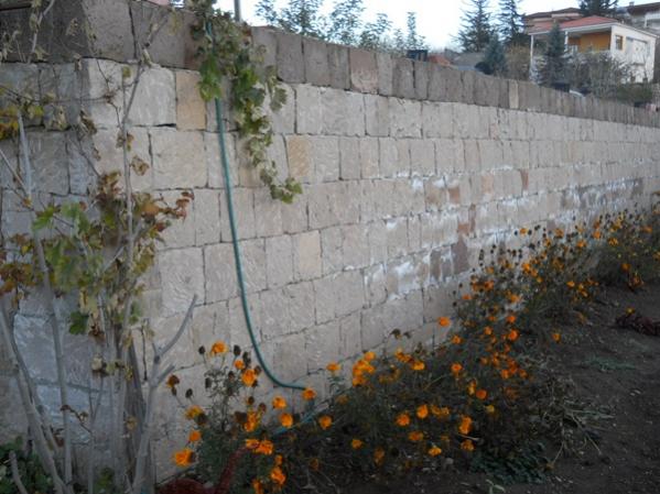 Name:  dla ii ayran duvar.jpg
Views: 7369
Size:  49.4 KB