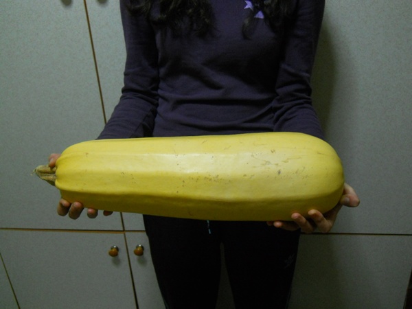 Name:  ekirdeklik kabak boy 60 cm.JPG
Views: 3702
Size:  64.8 KB