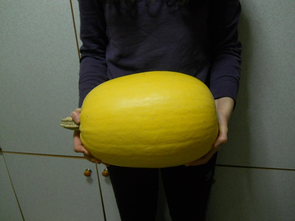 Name:  ekirdeklik kabak arlk 7 kg.JPG
Views: 3539
Size:  63.7 KB