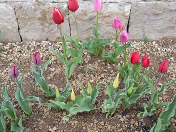 Name:  DSCN0028.jpg
Views: 1960
Size:  68.7 KB