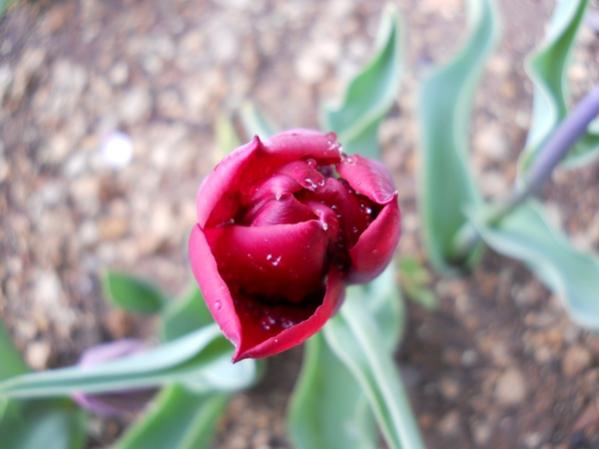 Name:  DSCN0033.jpg
Views: 1683
Size:  29.4 KB