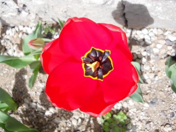 Name:  DSCN0057.jpg
Views: 1835
Size:  40.5 KB