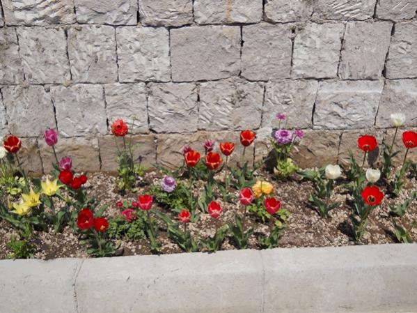 Name:  DSCN0082.jpg
Views: 1933
Size:  61.9 KB