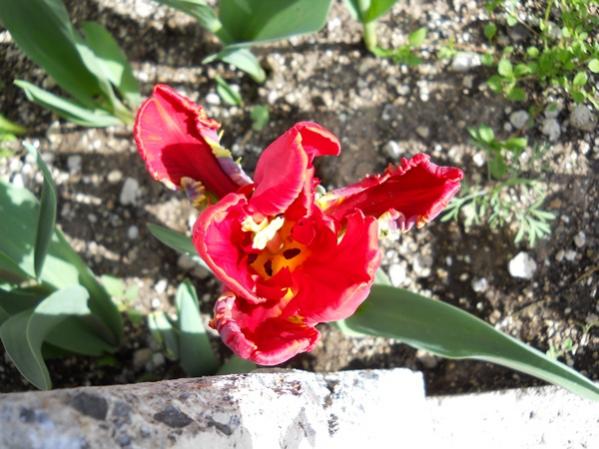 Name:  DSCN0108.jpg
Views: 1935
Size:  51.5 KB