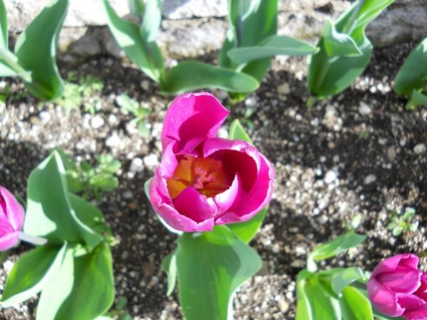 Name:  DSCN0113.jpg
Views: 1895
Size:  49.0 KB