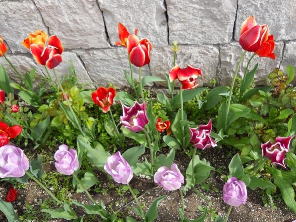 Name:  DSCN0222.jpg
Views: 1683
Size:  68.8 KB