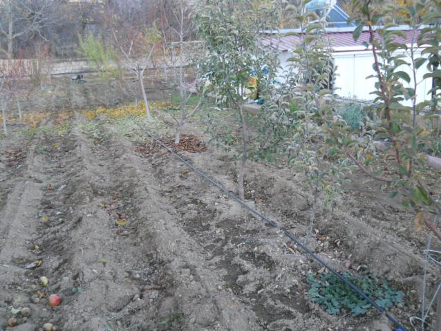 Name:  DSCN3276.jpg
Views: 1526
Size:  69.9 KB