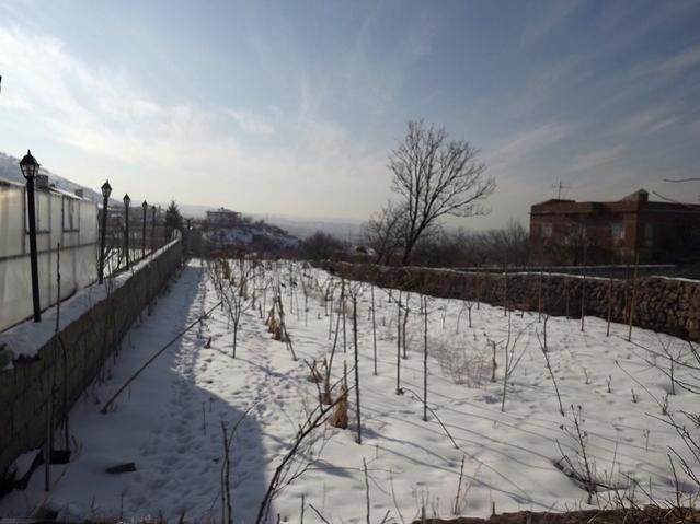 Name:  DSCF0870.jpg
Views: 1467
Size:  41.7 KB